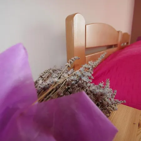 Apartment Geraeumige In Mit Gemeinsamem Garten Pula