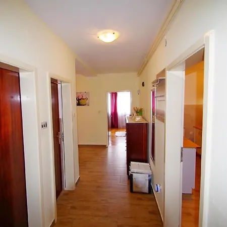 Apartment Geräumige In Mit Gemeinsamem Garten *
